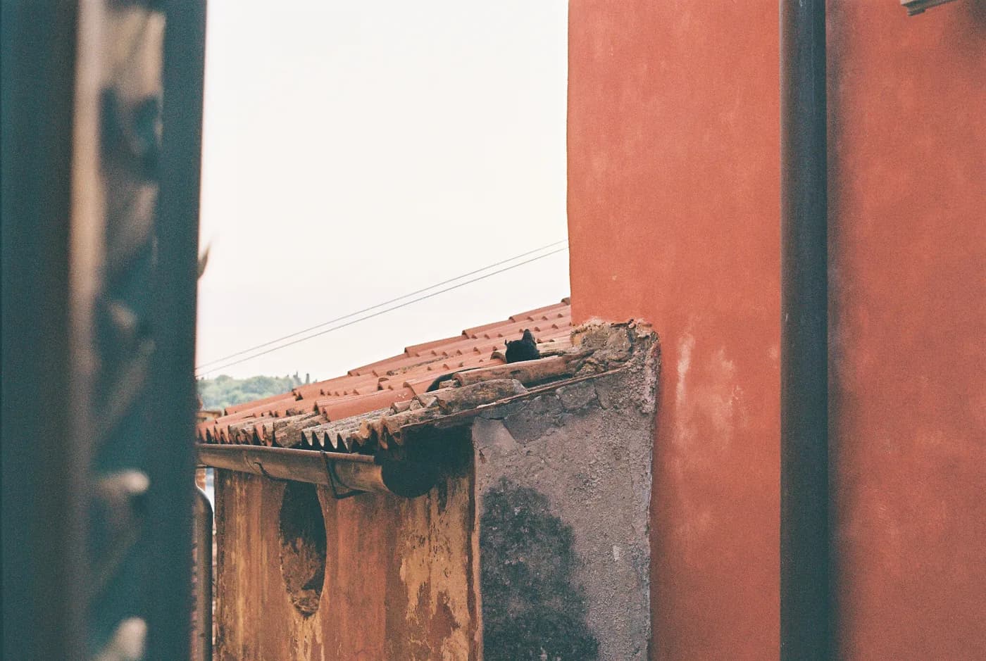 Old rooftops framed by softly coloured walls