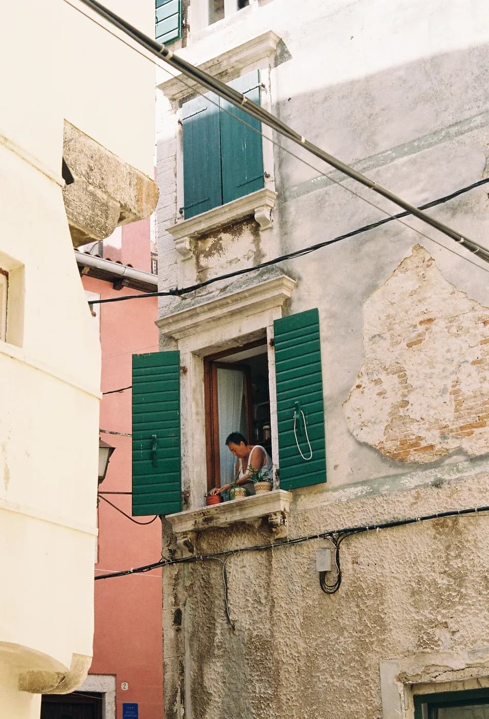 Person looking from a window with green shutters