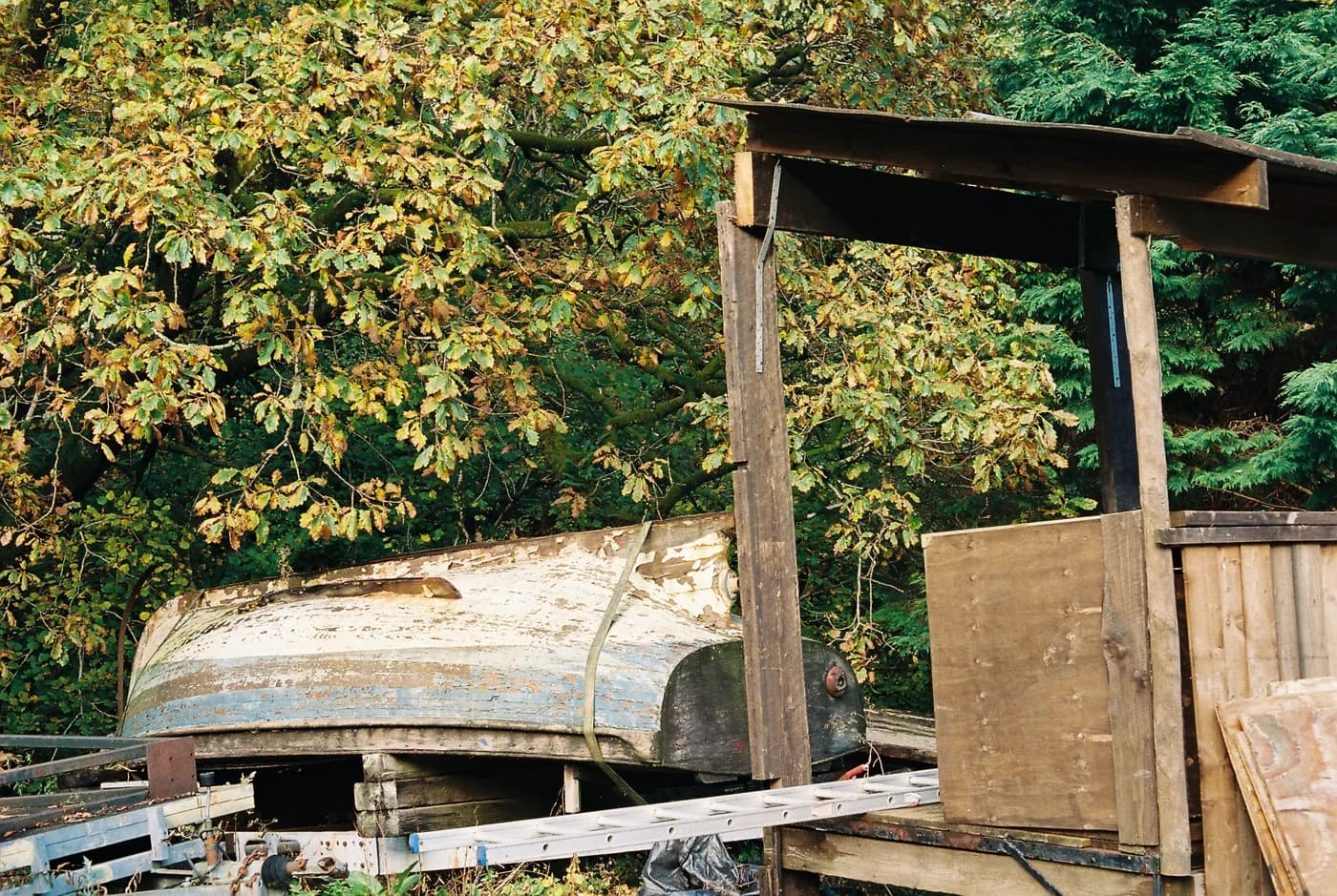 Weathered boat and wooden structure surrounded by trees